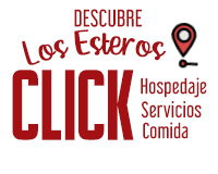 DESCUBRE LOS ESTEROS